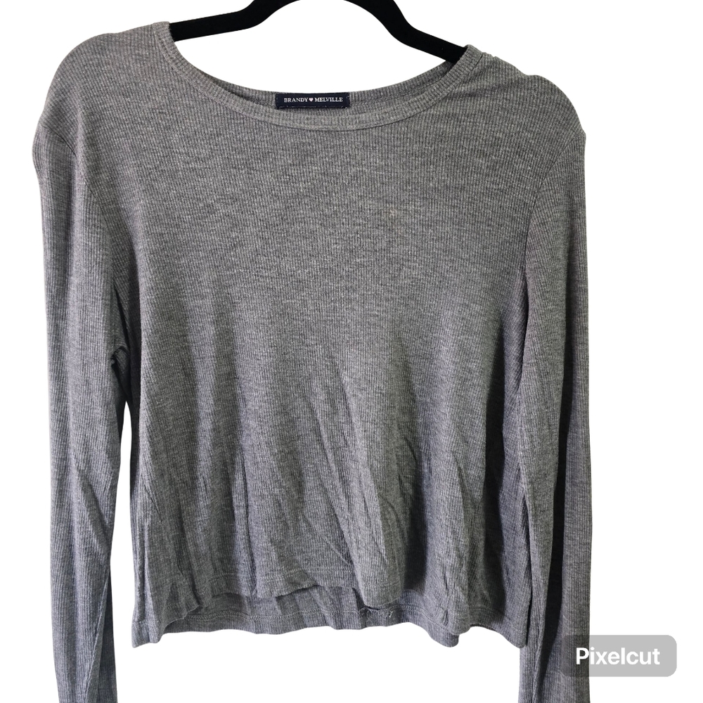 Brandy Melville Long Sleeve Crop